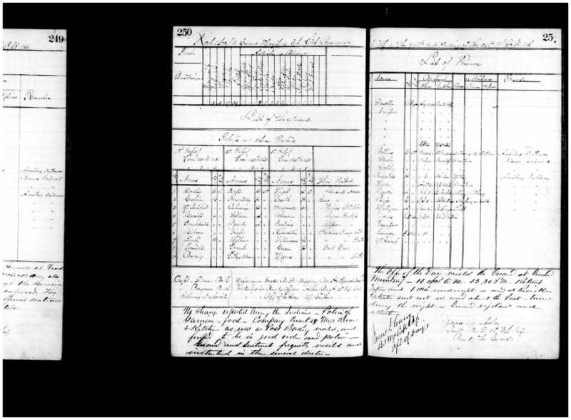 Primary page