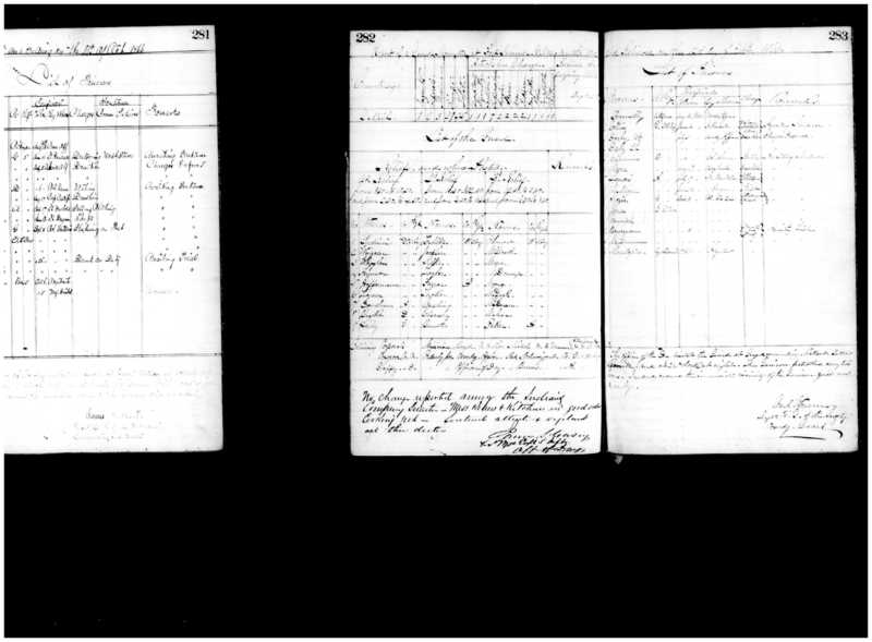 Primary page