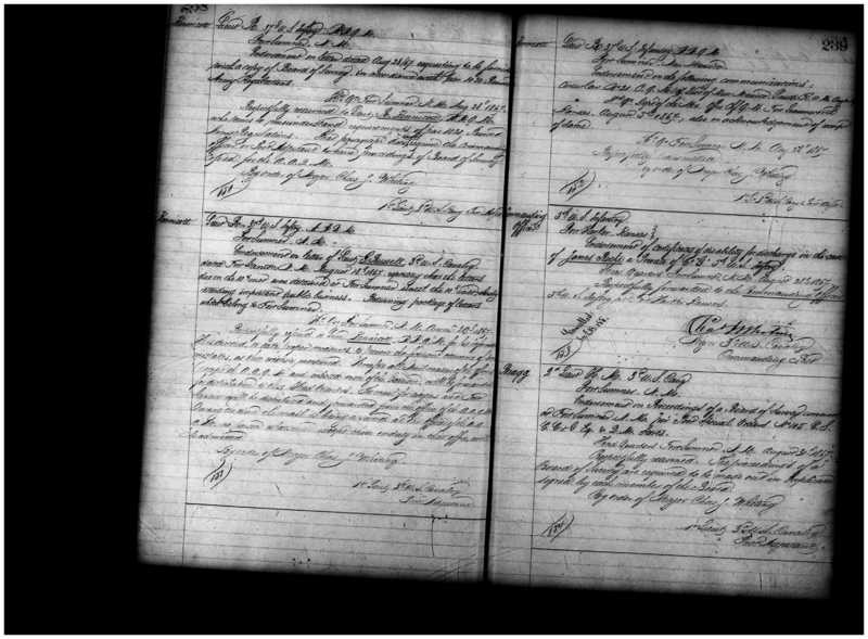 Primary page