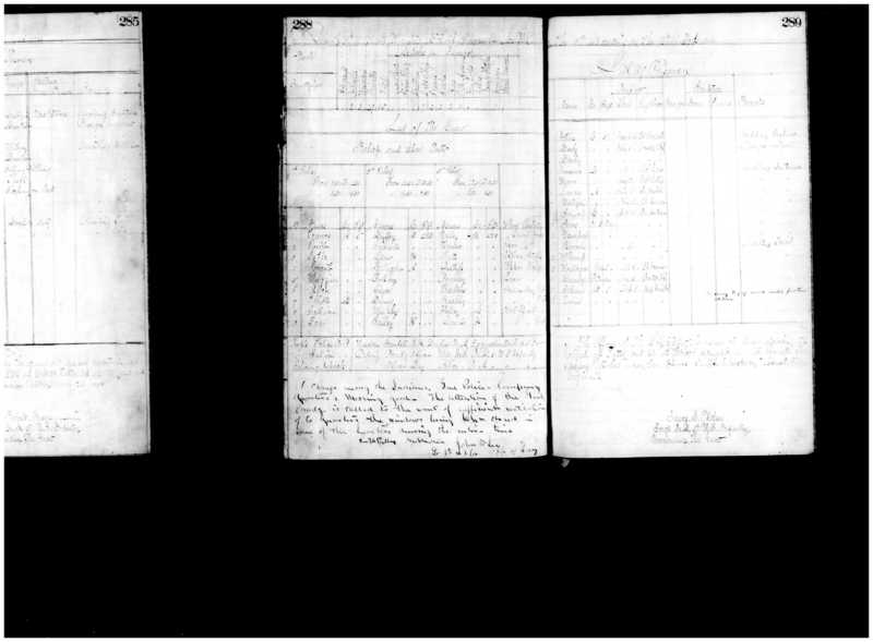 Primary page