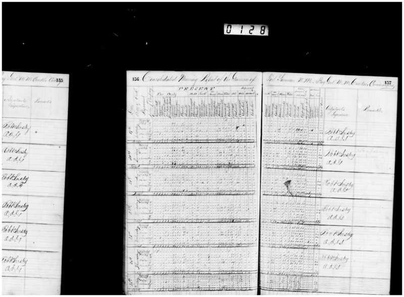 Primary page