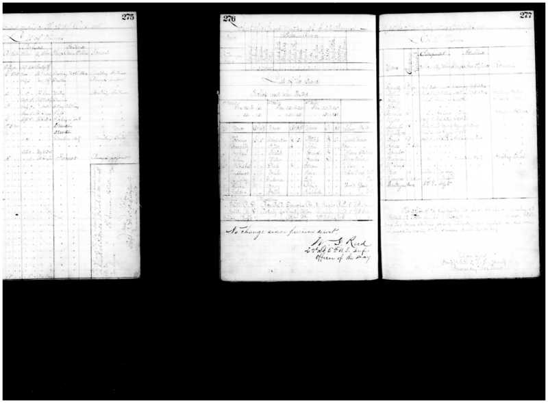 Primary page