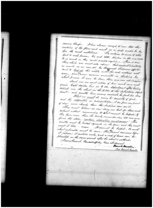 Primary page