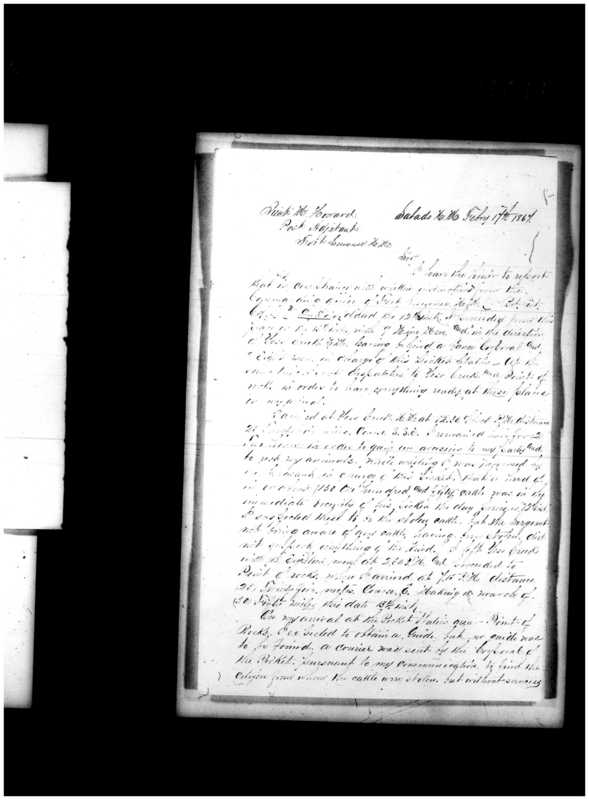 Primary page