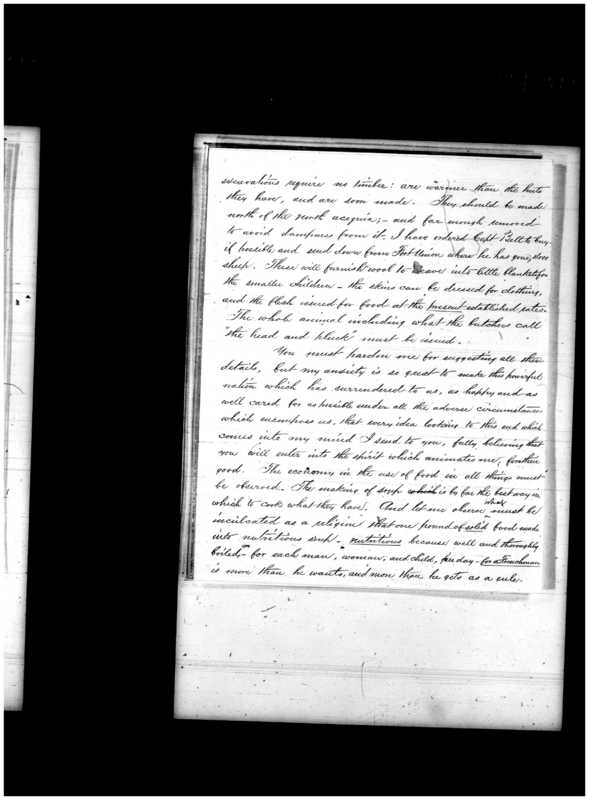 Primary page