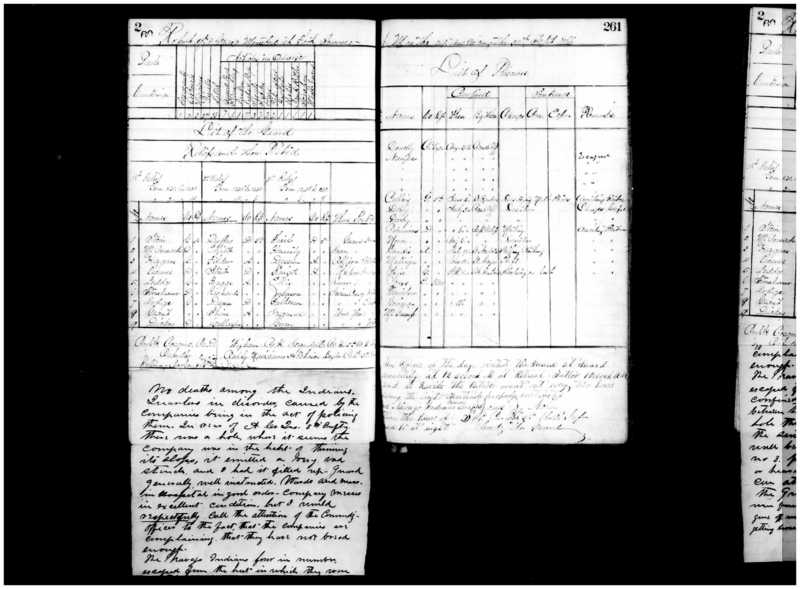 Primary page