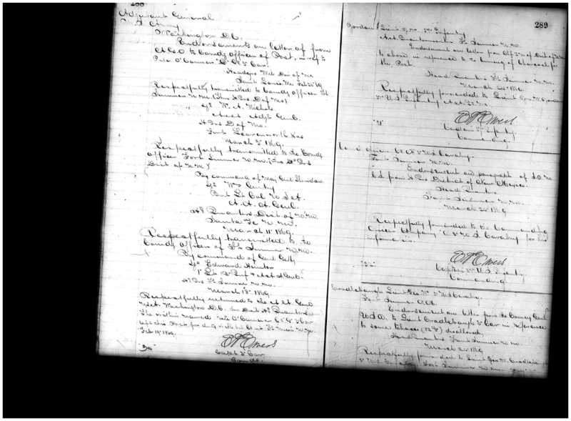 Primary page