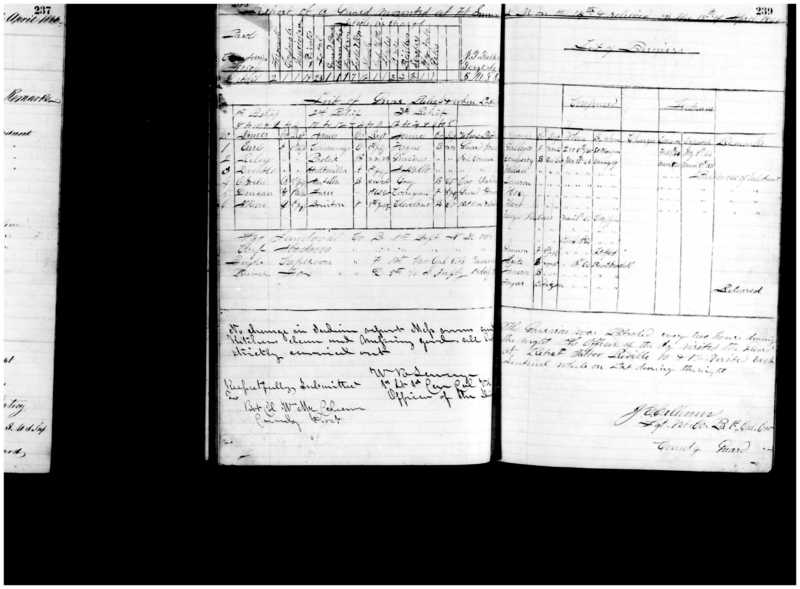 Primary page
