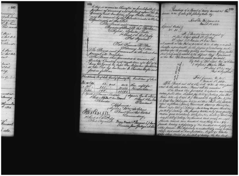Primary page