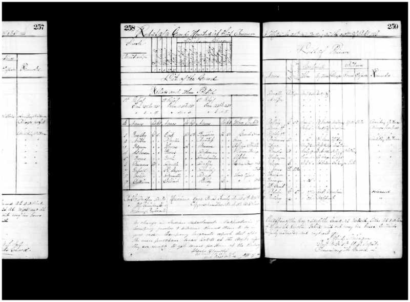 Primary page