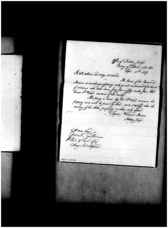 Primary page