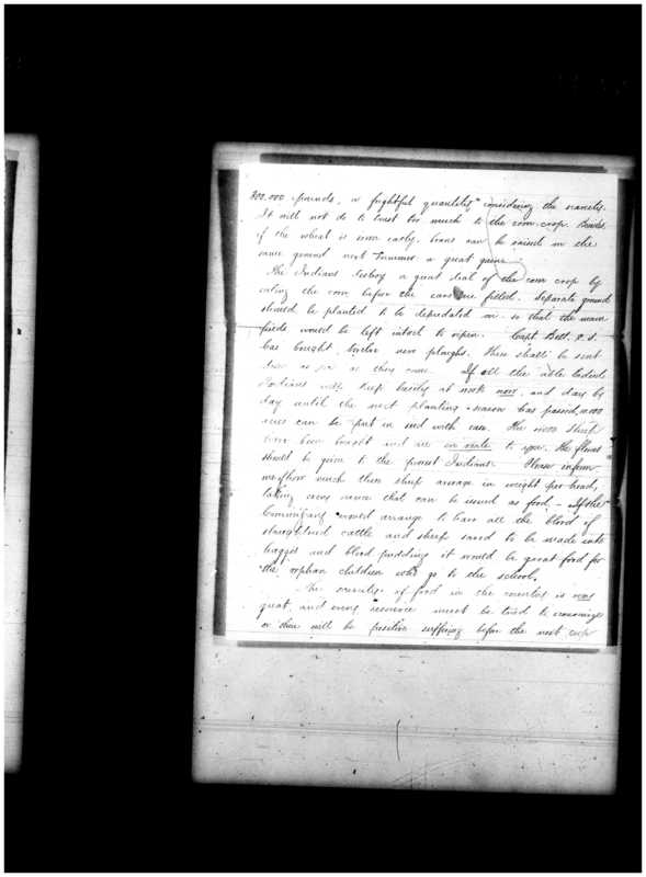 Primary page