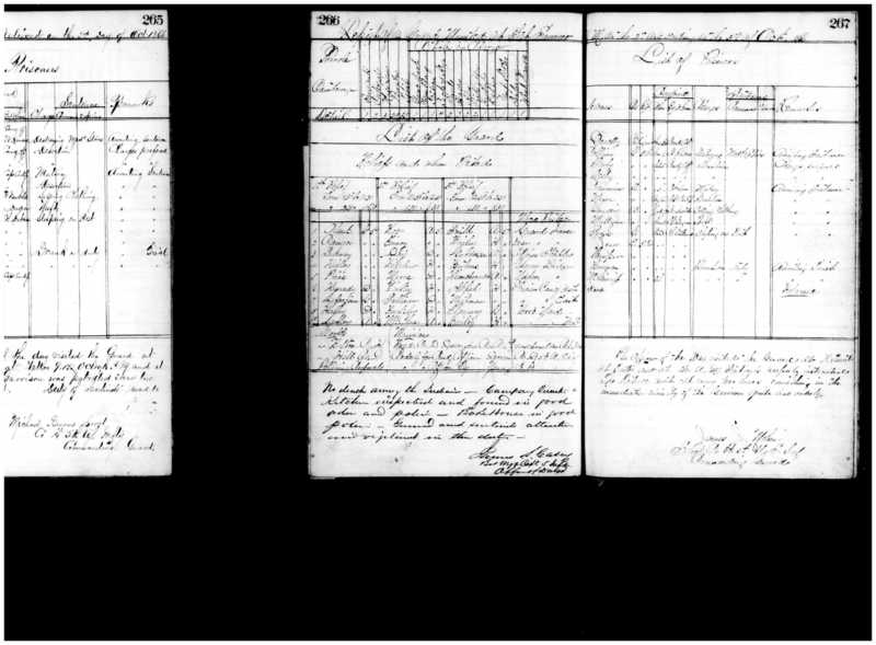 Primary page