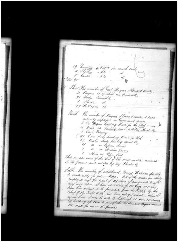 Primary page