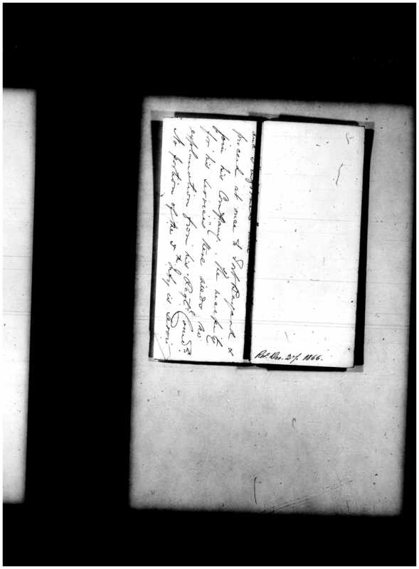 Primary page