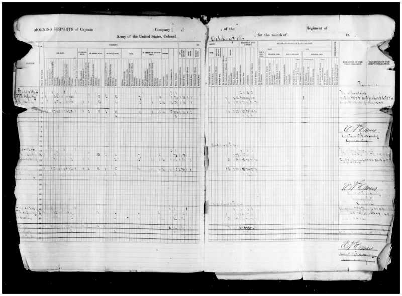 Primary page
