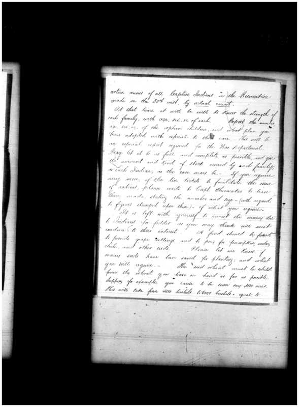 Primary page