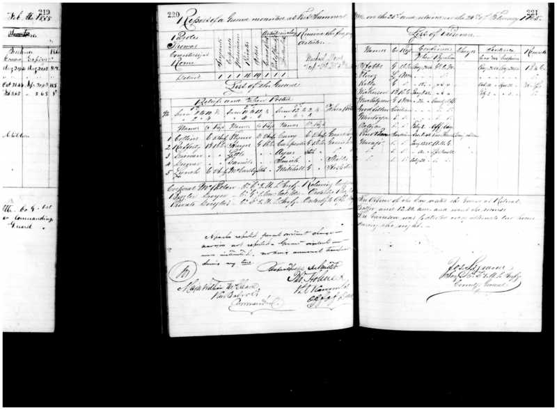 Primary page