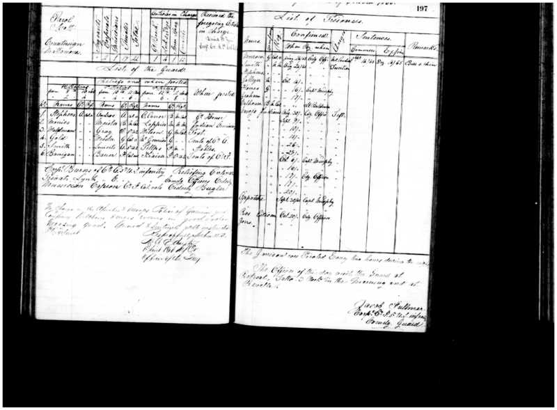 Primary page