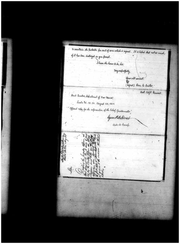 Primary page