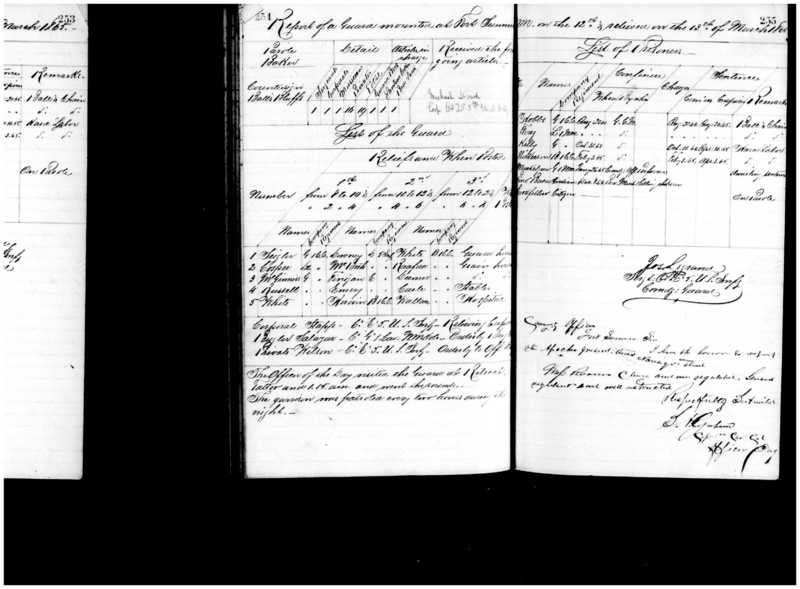 Primary page