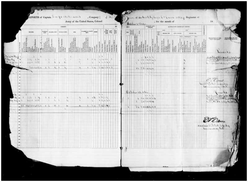 Primary page