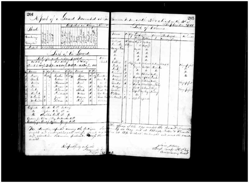 Primary page