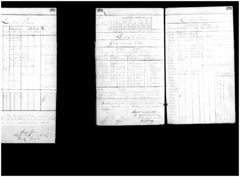 Primary page