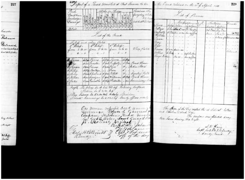 Primary page