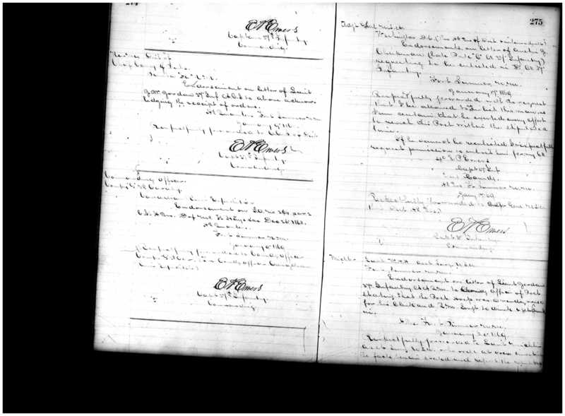 Primary page