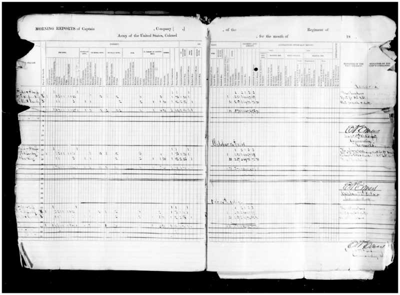 Primary page