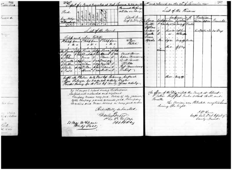 Primary page