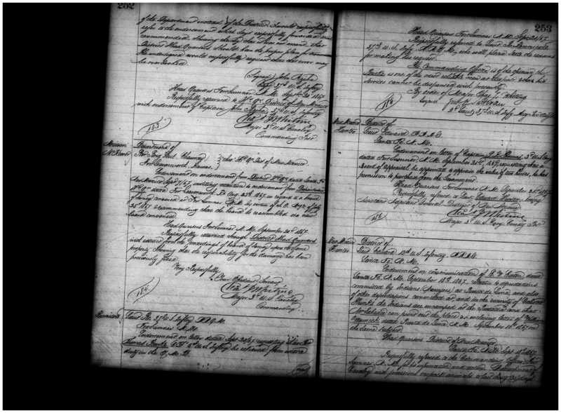 Primary page