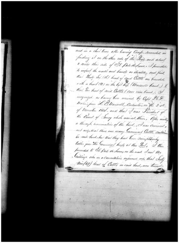 Primary page