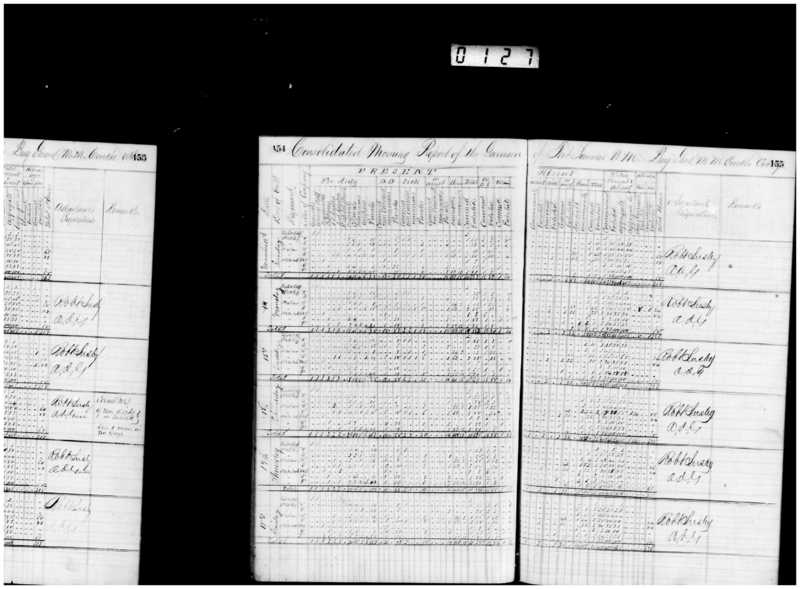 Primary page