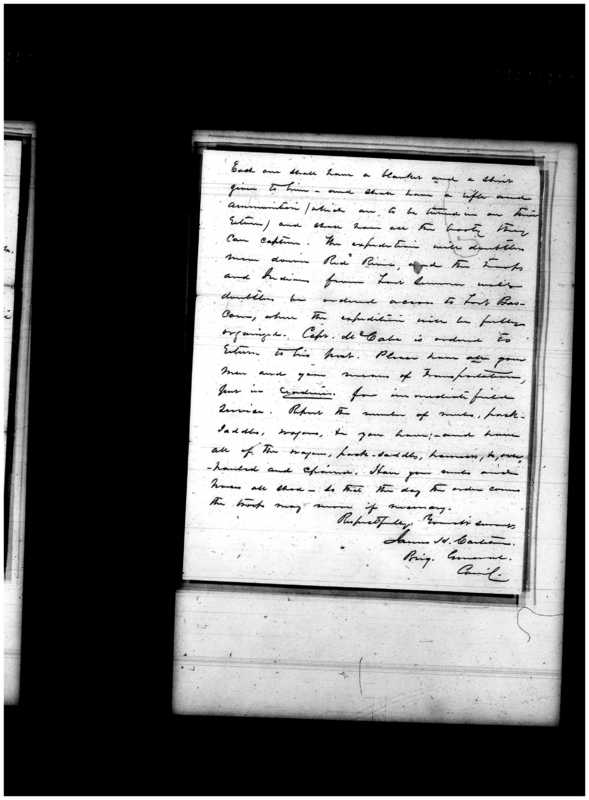 Primary page