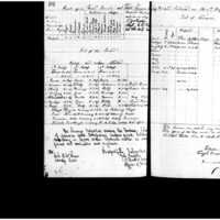 Primary page