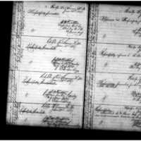 Primary page