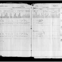 Primary page