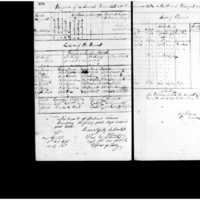 Primary page