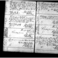 Primary page