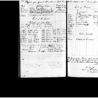 Primary page
