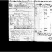 Primary page
