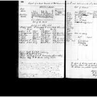 Primary page