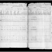 Primary page