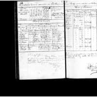 Primary page