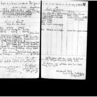 Primary page