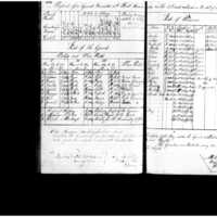 Primary page