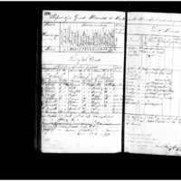 Primary page
