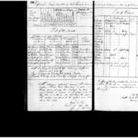 Primary page